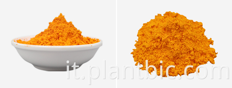 Natural Turmeric extract 95 curcumin